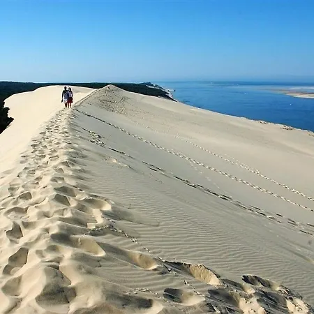 Arcachonnaise A 500m De La Plage Avec Jardin, Terrasse Ombragee, Et Proche Centre-ville - Fr-1-420-3 Casa de Férias Arcachon